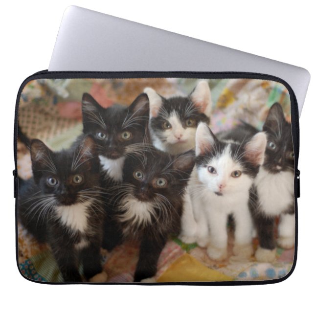 Capa Para Notebook Gatinhos do smoking (Frente)