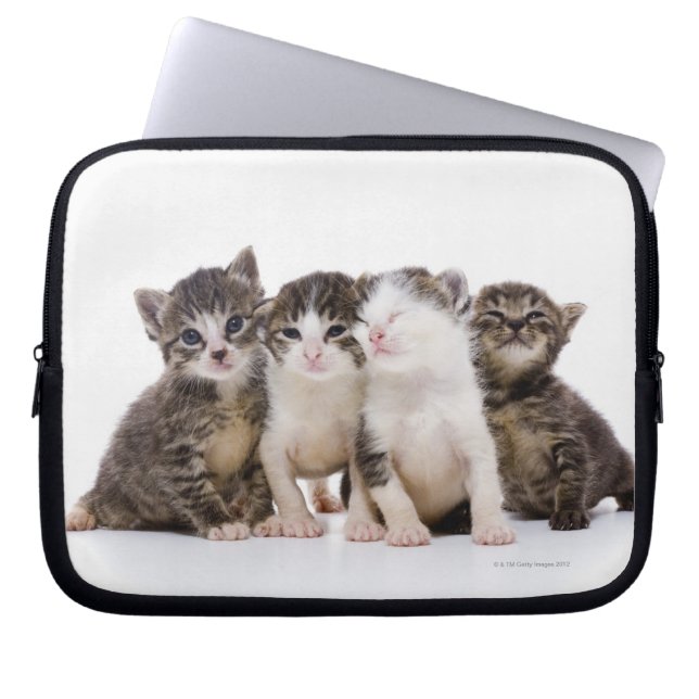 Capa Para Notebook Gatinhos doces (Frente)