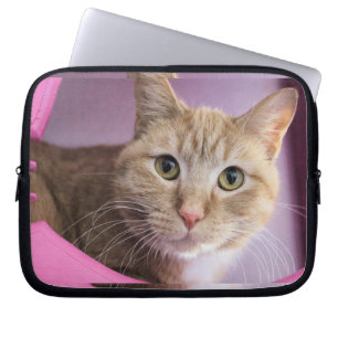 Capa Para Notebook Gato