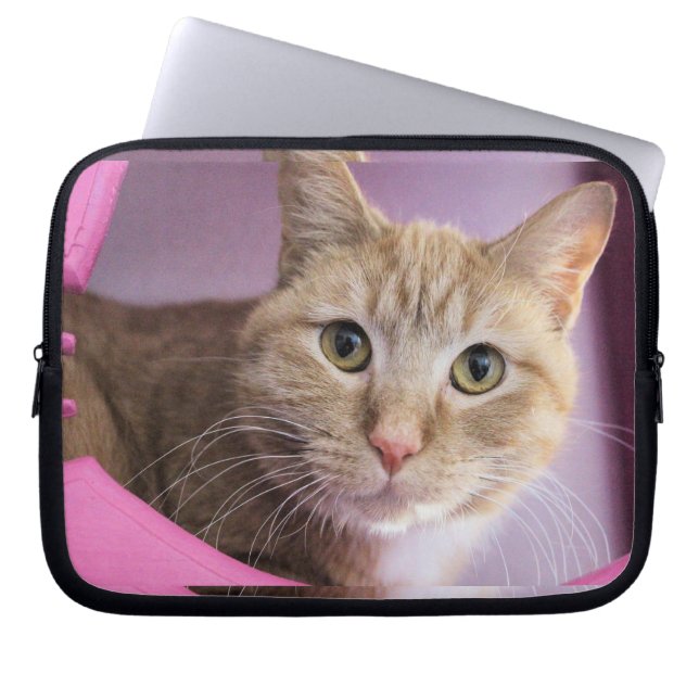 Capa Para Notebook Gato (Frente)