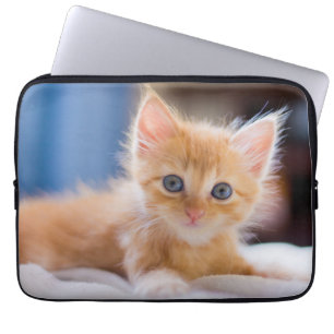 Capa Para Notebook Gato bonito com olhos azuis