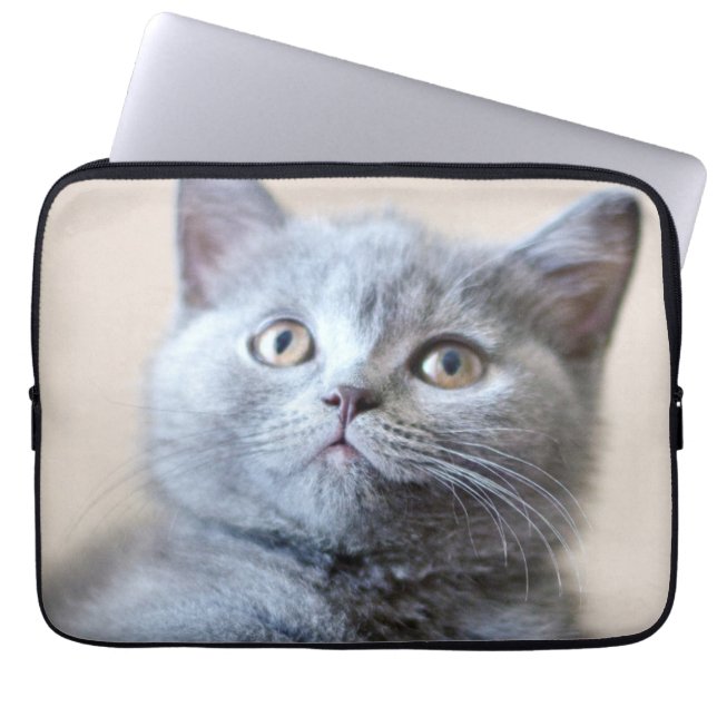Capa Para Notebook Gato britânico cinzento de Shorthair (Frente)