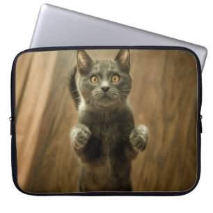 Capa Para Notebook GATO DE cinza EM DOIS PÉS