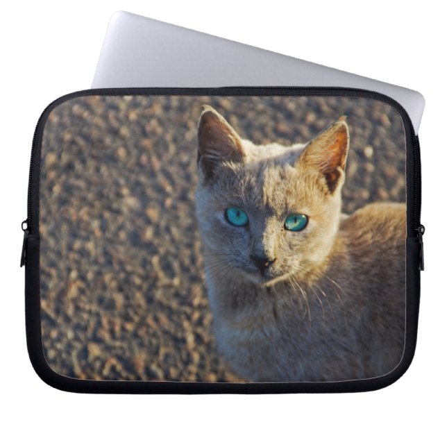 Capa Para Notebook gato de olhos azuis (Frente)