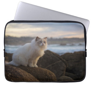Capa Para Notebook Gato de Ragdoll na praia