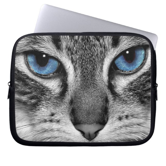 Capa Para Notebook Gato Eyed azul (Frente)