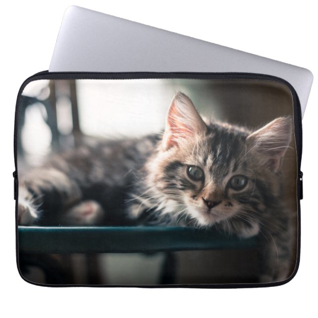 Capa Para Notebook Gato malhado doce (Frente)