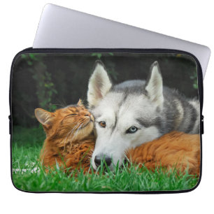 Capa Para Notebook Gato Somali Irmã Husky Bonito Amigos Encantados