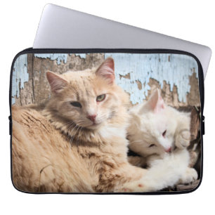 Capa Para Notebook Gatos