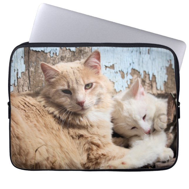 Capa Para Notebook Gatos (Frente)