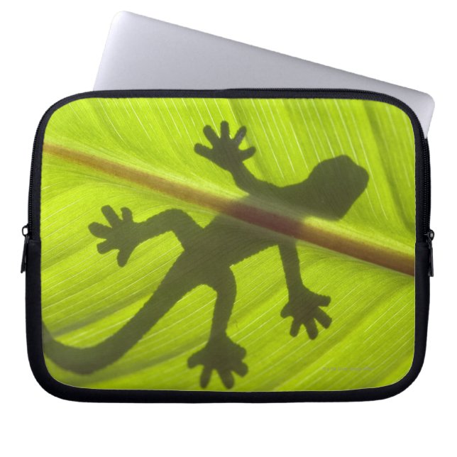 Capa Para Notebook Gecko (Frente)