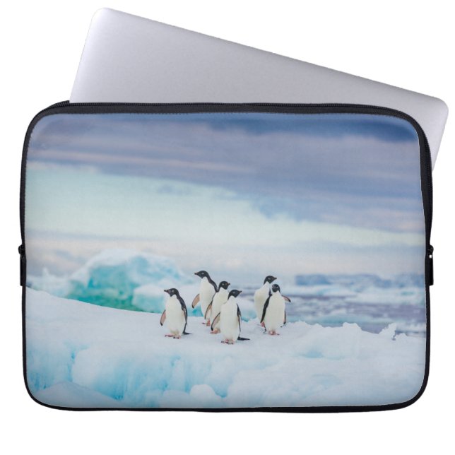 Capa Para Notebook Gelo e neve | Pinguins de adenda Antártica (Frente)