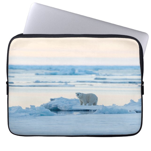 Capa Para Notebook Gelo e neve | Polar Bear Iceberg Noruega (Frente)