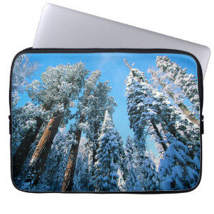 Capa Para Notebook Gelo e neve Sequoia National Park, Califórnia