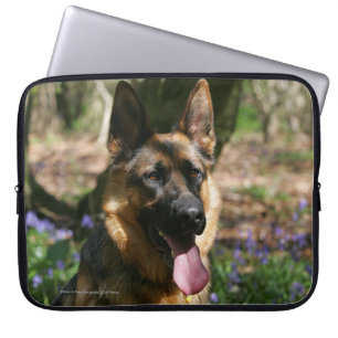 Capa Para Notebook German shepherd
