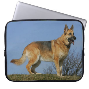Capa Para Notebook German shepherd de cabelos compridos 2 de Brown