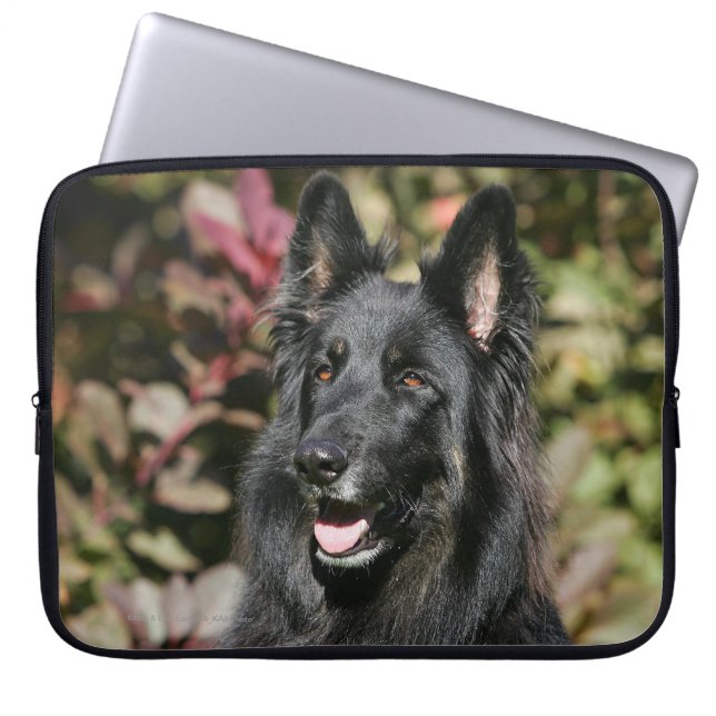 Capa Para Notebook German shepherd de cabelos compridos preto (Frente)