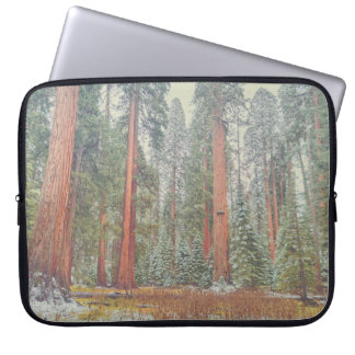 Capa Para Notebook Giant Sequoia Forest Landscape