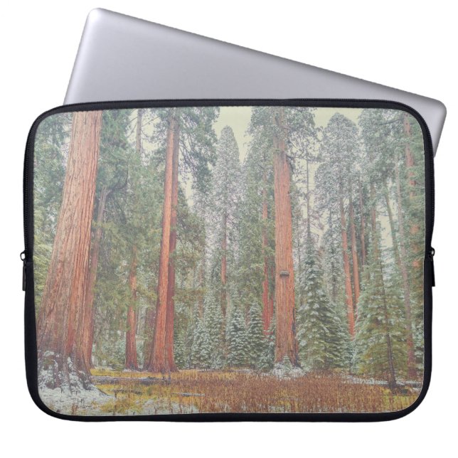 Capa Para Notebook Giant Sequoia Forest Landscape (Frente)