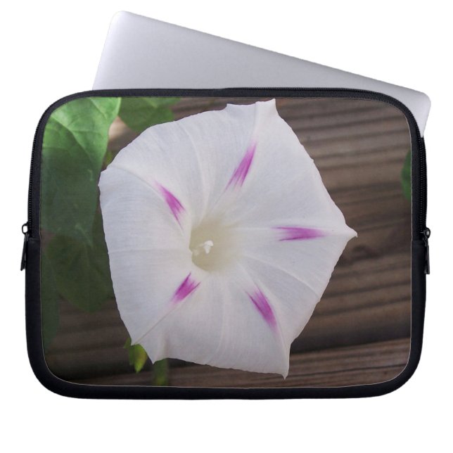 Capa Para Notebook Glória da Manhã (Frente)