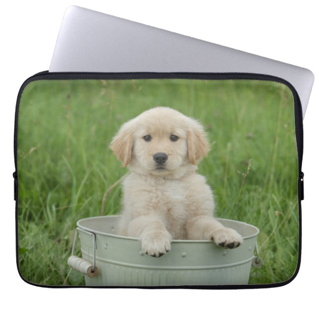 Capa Para Notebook Golden Retriever In Wash Basin (Frente)