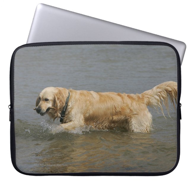 Capa Para Notebook Golden retriever na água (Frente)