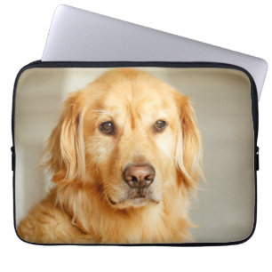Capa Para Notebook Golden Retriever Portrait