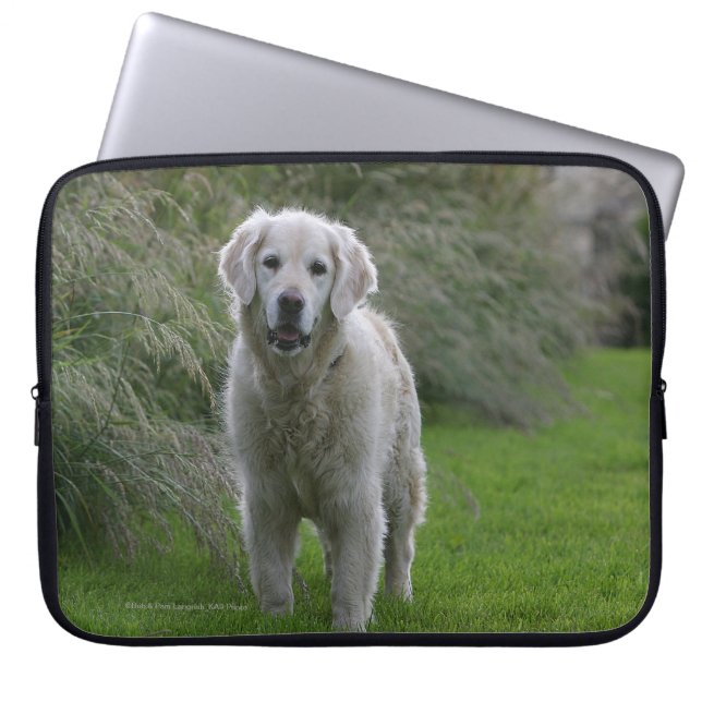 Capa Para Notebook Golden retriever que funciona 2 (Frente)