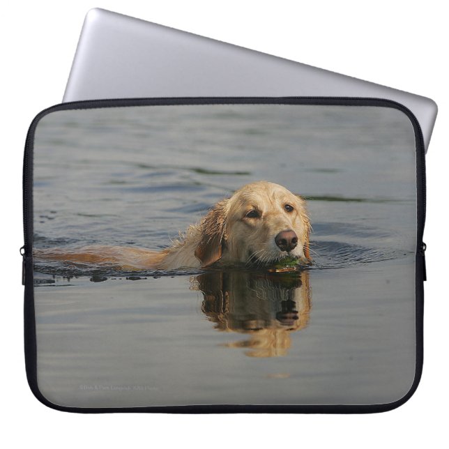 Capa Para Notebook Golden retriever que nada (Frente)
