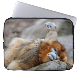 Capa Para Notebook Golden Snub-nosed Monkey Dad with Baby