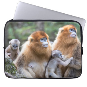 Capa Para Notebook Golden Snub-nosed Monkey Family