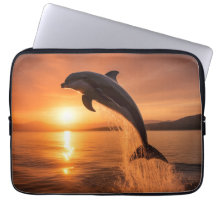 Golden Sunset Dolphin