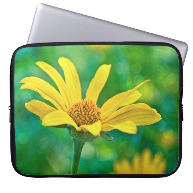 Capa Para Notebook Goldie (Frente)