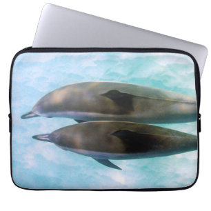 Capa Para Notebook Golfinhos do girador   Oahu Havaí