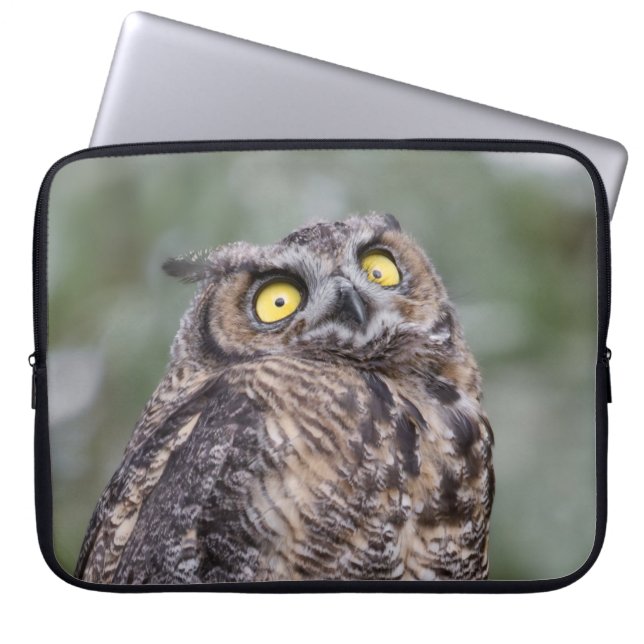 Capa Para Notebook Goofy Owl Neoprene Laptop Sleeve (Frente)