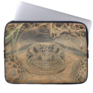 Capa Para Notebook Gopher Tortoise em Habitat Natural