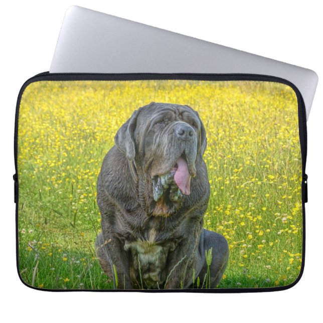 Capa Para Notebook Gorgeous Neapolitan Mastiff (Frente)