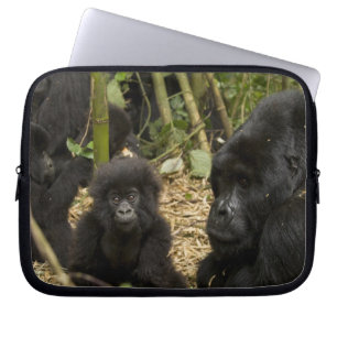 Capa Para Notebook Gorila da Montanha, adulto com filhote