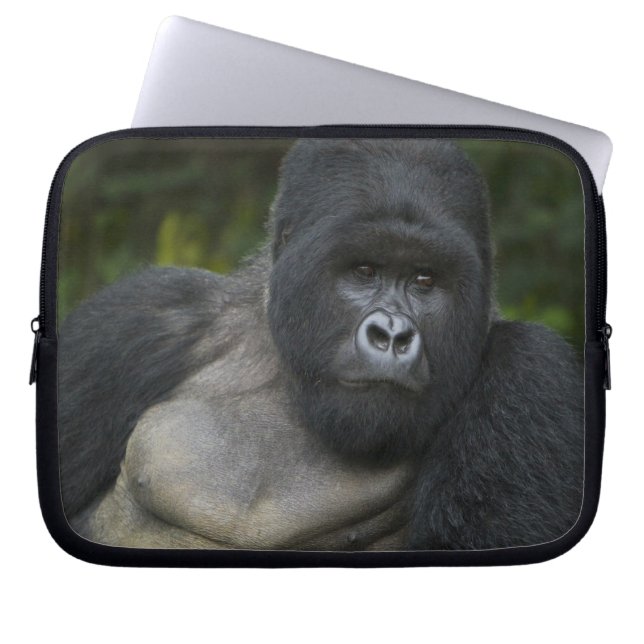 Capa Para Notebook Gorila da Montanha e Costas Prateadas (Frente)