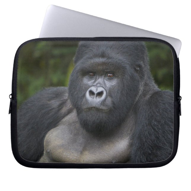 Capa Para Notebook Gorila da Montanha e Silverback (Frente)