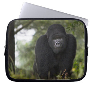 Capa Para Notebook Gorila da Montanha e Silverback