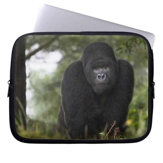 Capa Para Notebook Gorila da Montanha e Silverback (Frente)