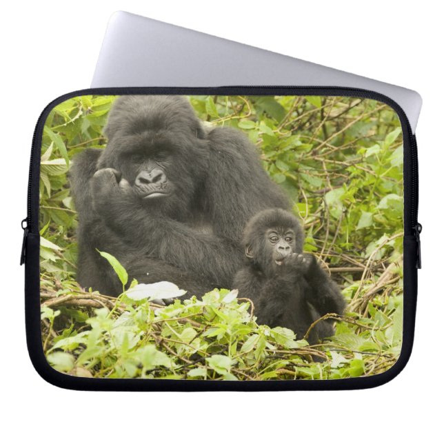 Capa Para Notebook Gorila-da-montanha, Gorilla beringei (anteriorment (Frente)