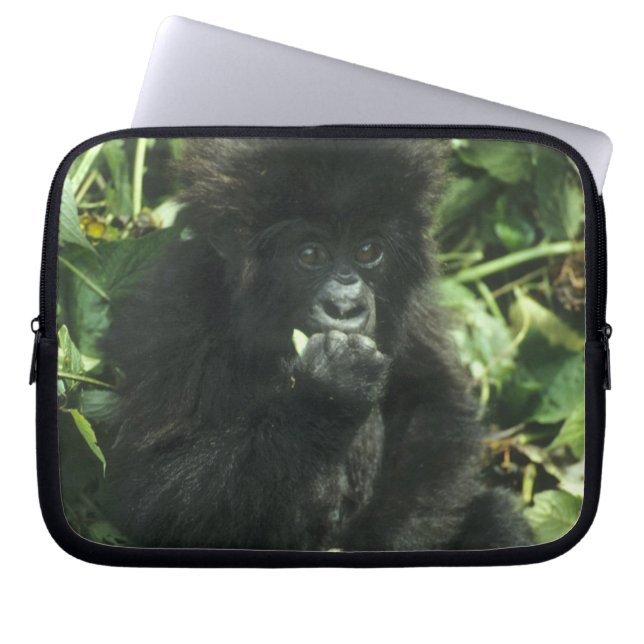 Capa Para Notebook Gorila da Montanha, (Gorilla gorilla beringei), (Frente)