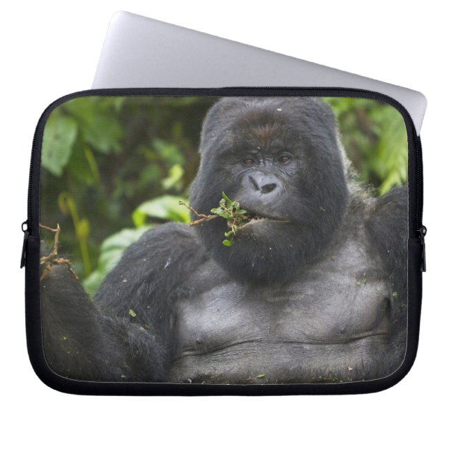 Capa Para Notebook Gorila de montanha e Silverback (Frente)