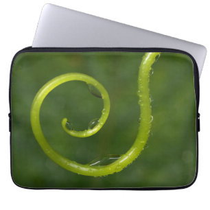 Capa Para Notebook Gotículas de Água em uma Videira
