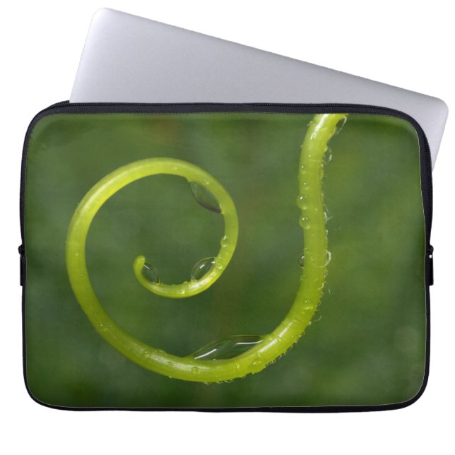 Capa Para Notebook Gotículas de Água em uma Videira (Frente)