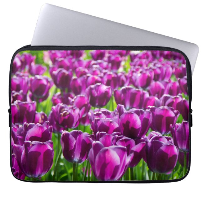 Capa Para Notebook Grande campo de tulipas roxas (Frente)