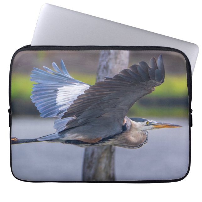 Capa Para Notebook Great Blue Heron Flight Wildlife Bird Photography (Frente)