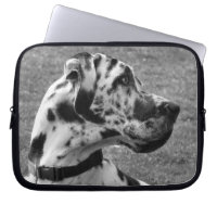 GREAT DANE